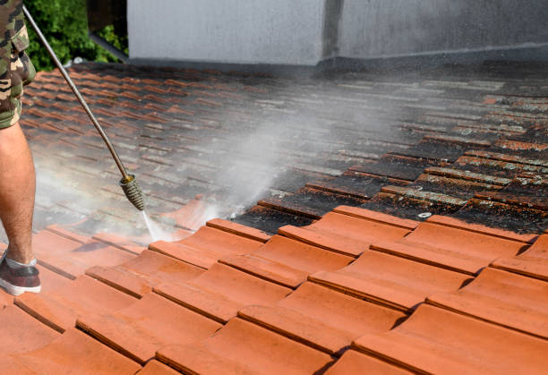 Best Fence Pressure Washing  in Princeton, MO