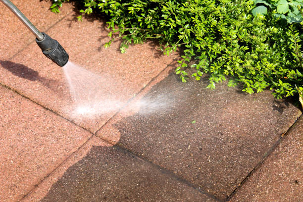 Best Commercial Building Pressure Washing  in Princeton, MO